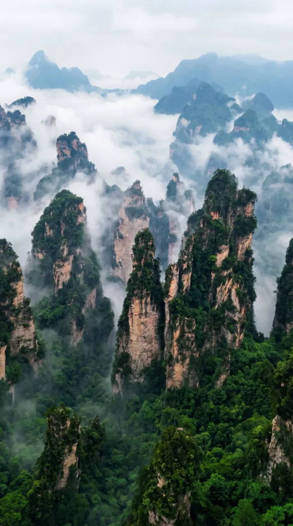 Reise „Guangzhou + Zhangjiajie“ – 5 Tage