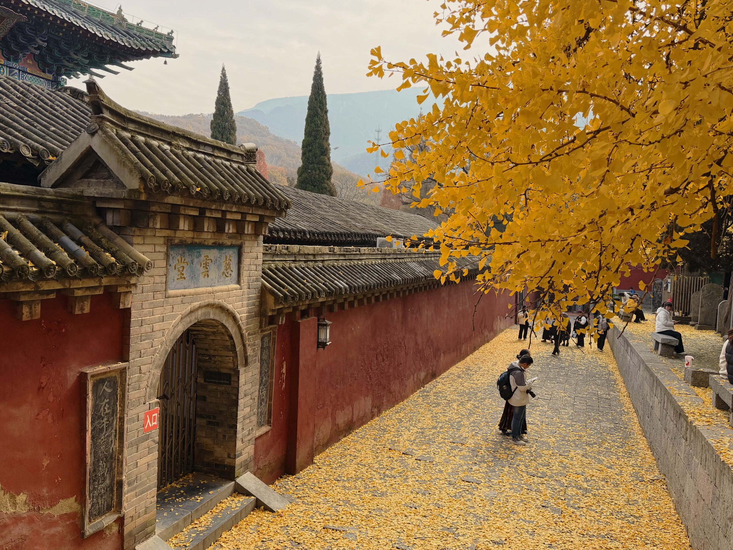 Luoyang in 2 Days: Longmen and Shaolin