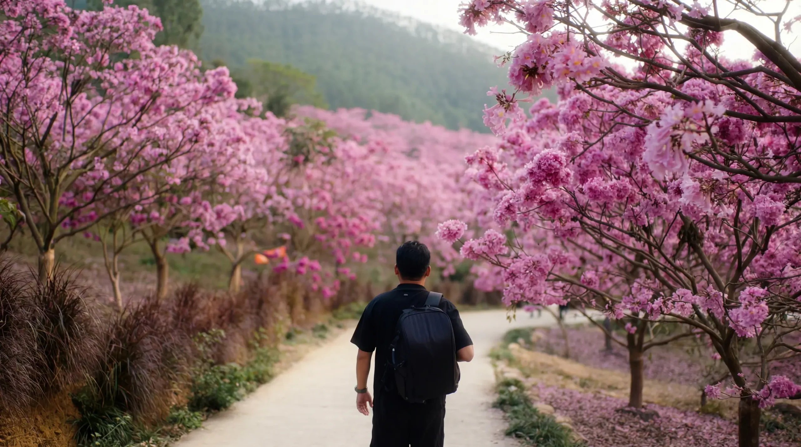 Southern China: Lingnan Heritage and Karst Landscapes