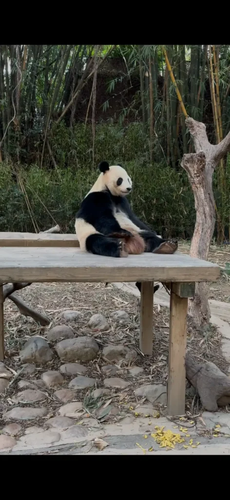 Return to Guangzhou and Choose Your Experience