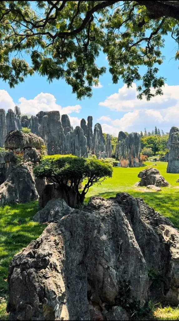 Каменный лес Шилиня и культуры Юньнани