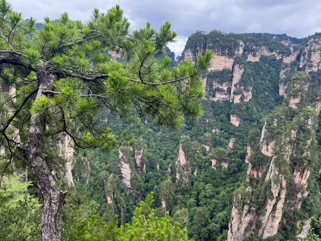 Yuanjiajie und Bailong-Aufzug