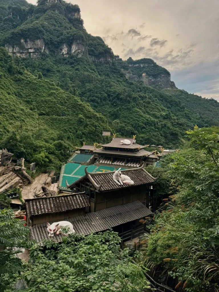 Tianmen-Berg und Himmelstor – Abreise